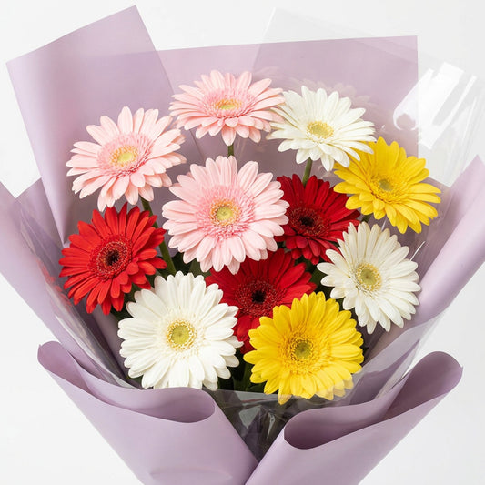 Gerbera Brights