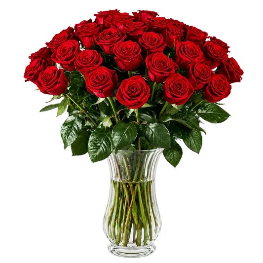 Two Dozen Long Stem Red Roses