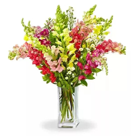snapdragon flower bouquet