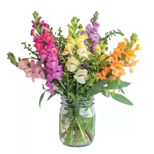 a bouquet of snapdragons