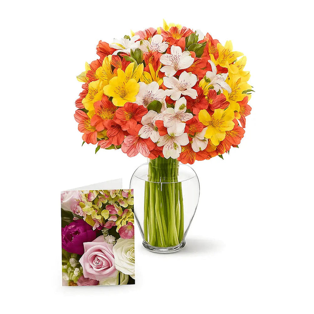 100 Blooms of Alstroemeria I