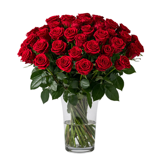 Three Dozen Long Stem Red Roses - Flower Delivery New Zealand