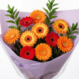 Autumn Gerberas