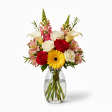 Christmas Designer Collection III