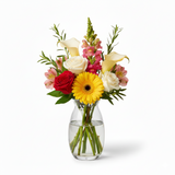 Christmas Designer Collection II