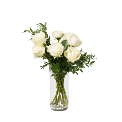 Half Dozen White Roses - Flower Delivery New Zealand