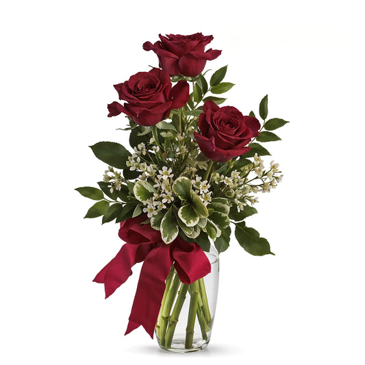 Radiant Roses