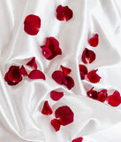 Red Rose Petals