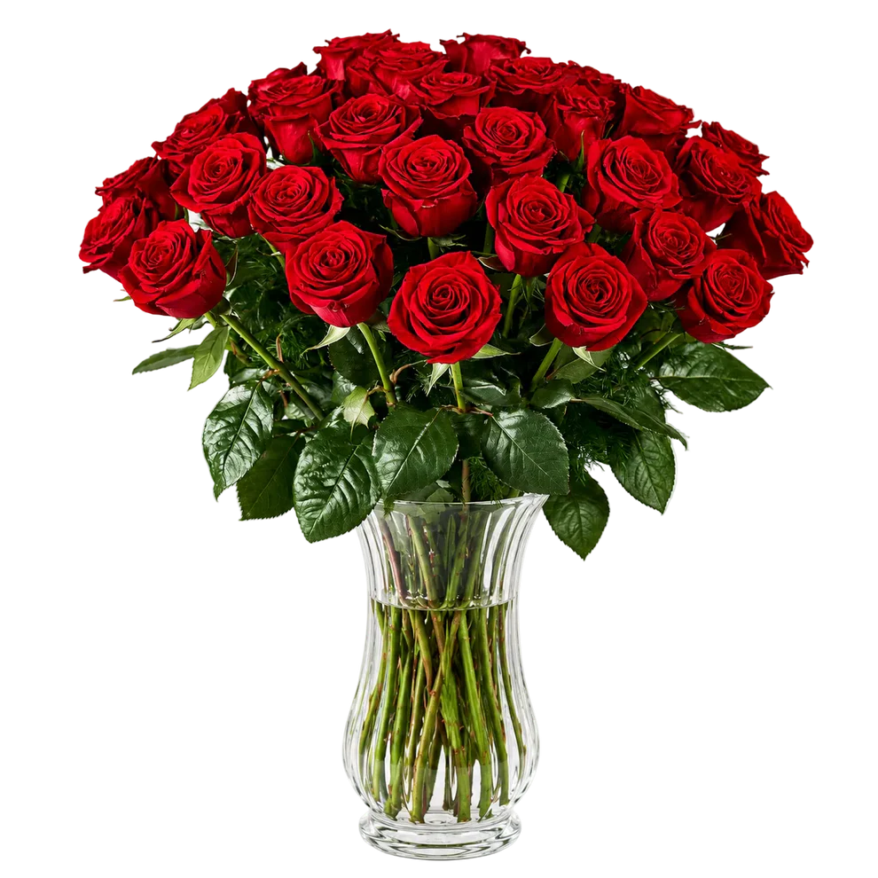 Two Dozen Long Stem Red Roses - Flower Delivery New Zealand