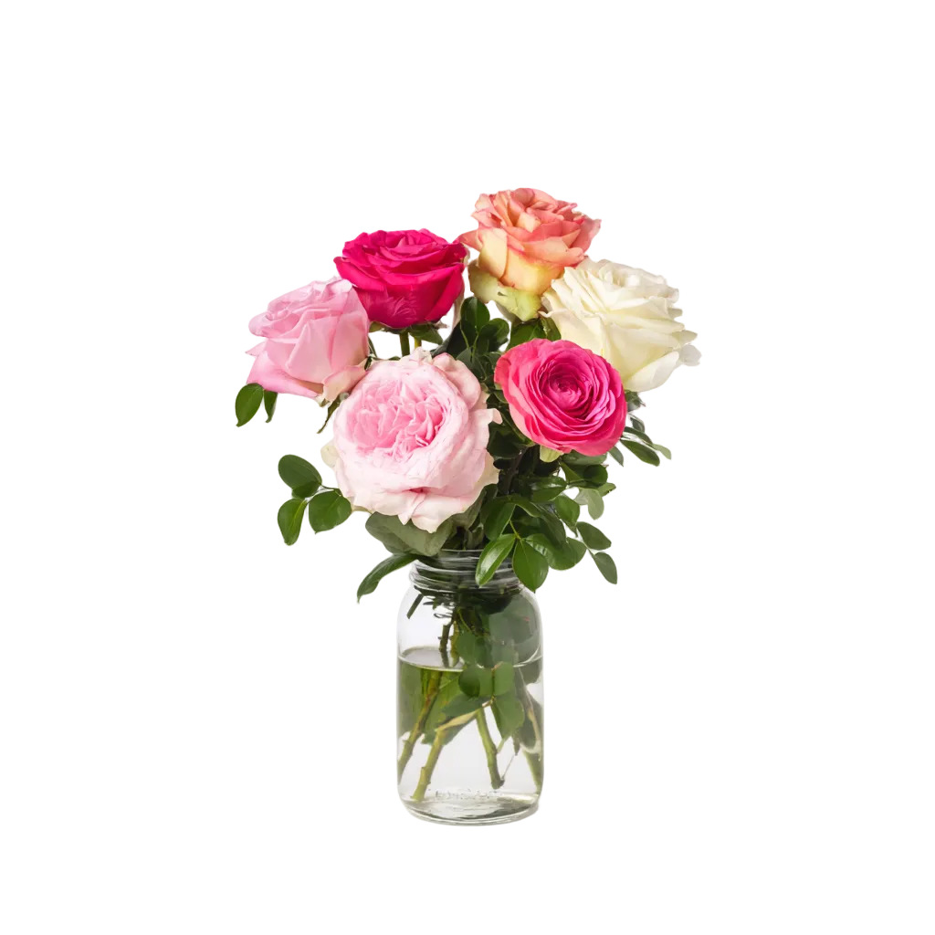 Half Dozen Assorted Long Stem Roses