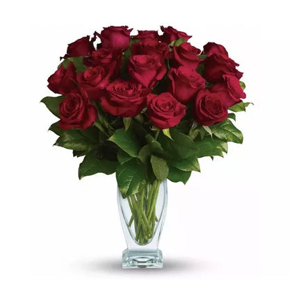 18 red roses in vase