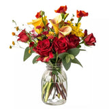 Crimson Sunrise