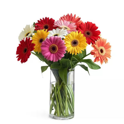 Rainbow Gerbera Bouquet - Flower Delivery New Zealand
