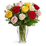 One Dozen Assorted Long Stem Roses